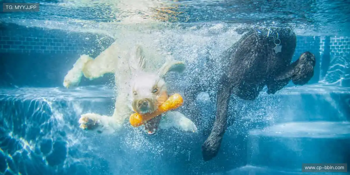 🥊拳拳到肉，擂台之上见真章！